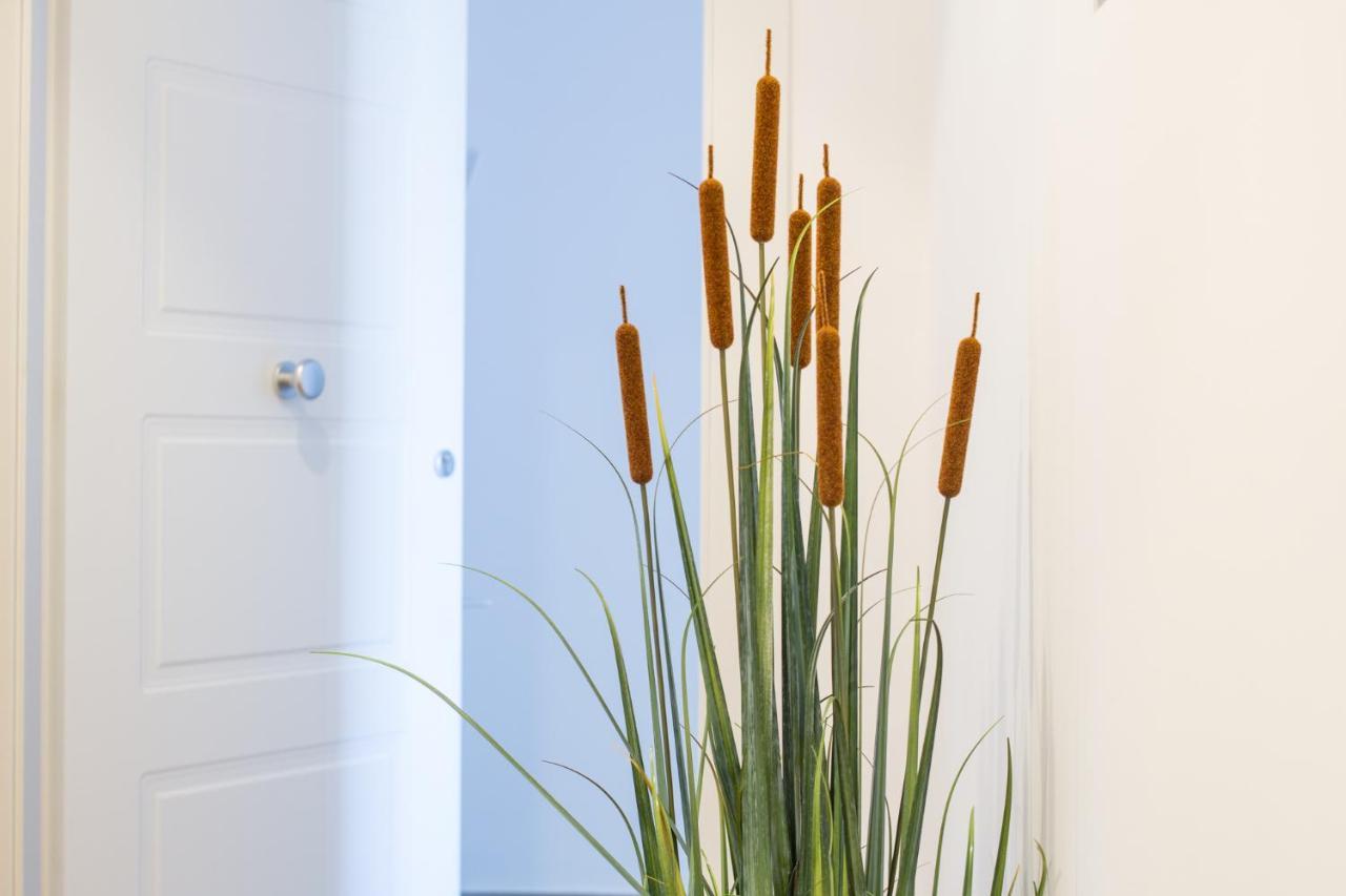 M'Place Apartments パレルモ エクステリア 写真